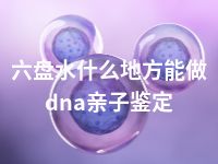 六盘水什么地方能做dna亲子鉴定