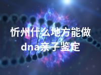 忻州什么地方能做dna亲子鉴定