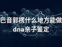 巴音郭楞什么地方能做dna亲子鉴定