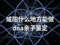 咸阳什么地方能做dna亲子鉴定