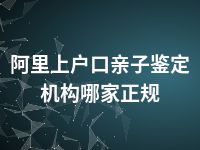 阿里上户口亲子鉴定机构哪家正规