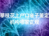 攀枝花上户口亲子鉴定机构哪家正规