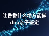 吐鲁番什么地方能做dna亲子鉴定