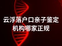 云浮落户口亲子鉴定机构哪家正规