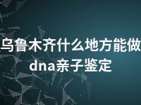 乌鲁木齐什么地方能做dna亲子鉴定