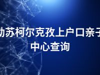 克孜勒苏柯尔克孜上户口亲子鉴定中心查询