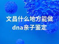 文昌什么地方能做dna亲子鉴定