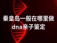 秦皇岛一般在哪里做dna亲子鉴定