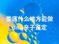 娄底什么地方能做dna亲子鉴定