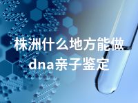 株洲什么地方能做dna亲子鉴定