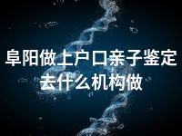 阜阳做上户口亲子鉴定去什么机构做