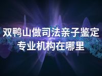 双鸭山做司法亲子鉴定专业机构在哪里