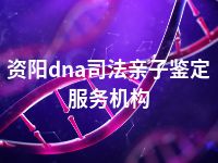 资阳dna司法亲子鉴定服务机构