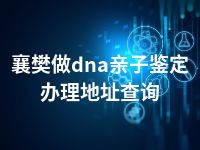 襄樊做dna亲子鉴定办理地址查询