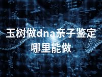 玉树做dna亲子鉴定哪里能做