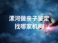 漯河做亲子鉴定找哪家机构