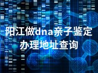 阳江做dna亲子鉴定办理地址查询