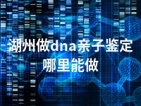 湖州做dna亲子鉴定哪里能做