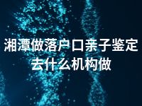 湘潭做落户口亲子鉴定去什么机构做