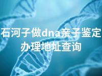 石河子做dna亲子鉴定办理地址查询