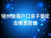 宿州做落户口亲子鉴定去哪里能做