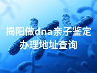 揭阳做dna亲子鉴定办理地址查询