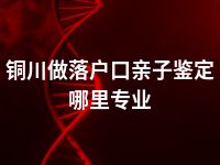 铜川做落户口亲子鉴定哪里专业