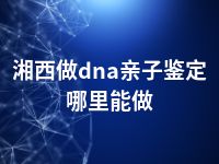 湘西做dna亲子鉴定哪里能做