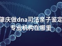 肇庆做dna司法亲子鉴定专业机构在哪里