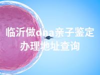 临沂做dna亲子鉴定办理地址查询