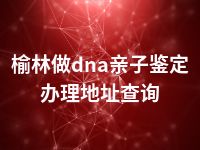 榆林做dna亲子鉴定办理地址查询