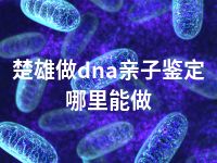 楚雄做dna亲子鉴定哪里能做