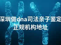 深圳做dna司法亲子鉴定正规机构地址