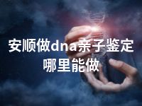 安顺做dna亲子鉴定哪里能做