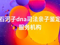 石河子dna司法亲子鉴定服务机构