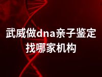 武威做dna亲子鉴定找哪家机构