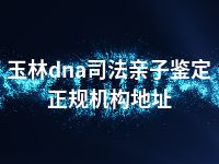 玉林dna司法亲子鉴定正规机构地址