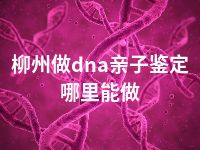 柳州做dna亲子鉴定哪里能做