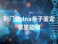 荆门做dna亲子鉴定哪里能做