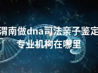 渭南做dna司法亲子鉴定专业机构在哪里