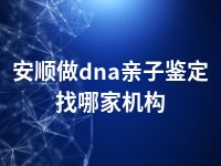 安顺做dna亲子鉴定找哪家机构