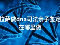 拉萨做dna司法亲子鉴定在哪里做