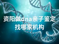 资阳做dna亲子鉴定找哪家机构