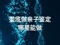 娄底做亲子鉴定哪里能做