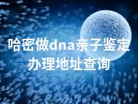 哈密做dna亲子鉴定办理地址查询