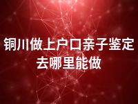 铜川做上户口亲子鉴定去哪里能做