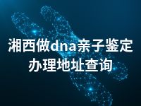 湘西做dna亲子鉴定办理地址查询