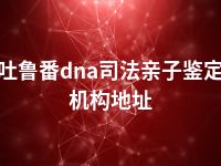 吐鲁番dna司法亲子鉴定机构地址