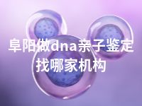 阜阳做dna亲子鉴定找哪家机构