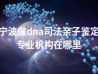 宁波做dna司法亲子鉴定专业机构在哪里